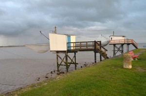 DSC_7971 copie