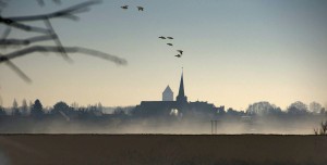Loire_0236
