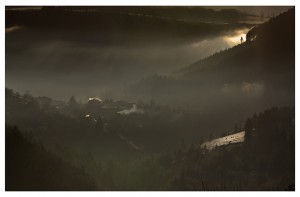 paysage matinal